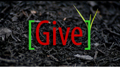 Give